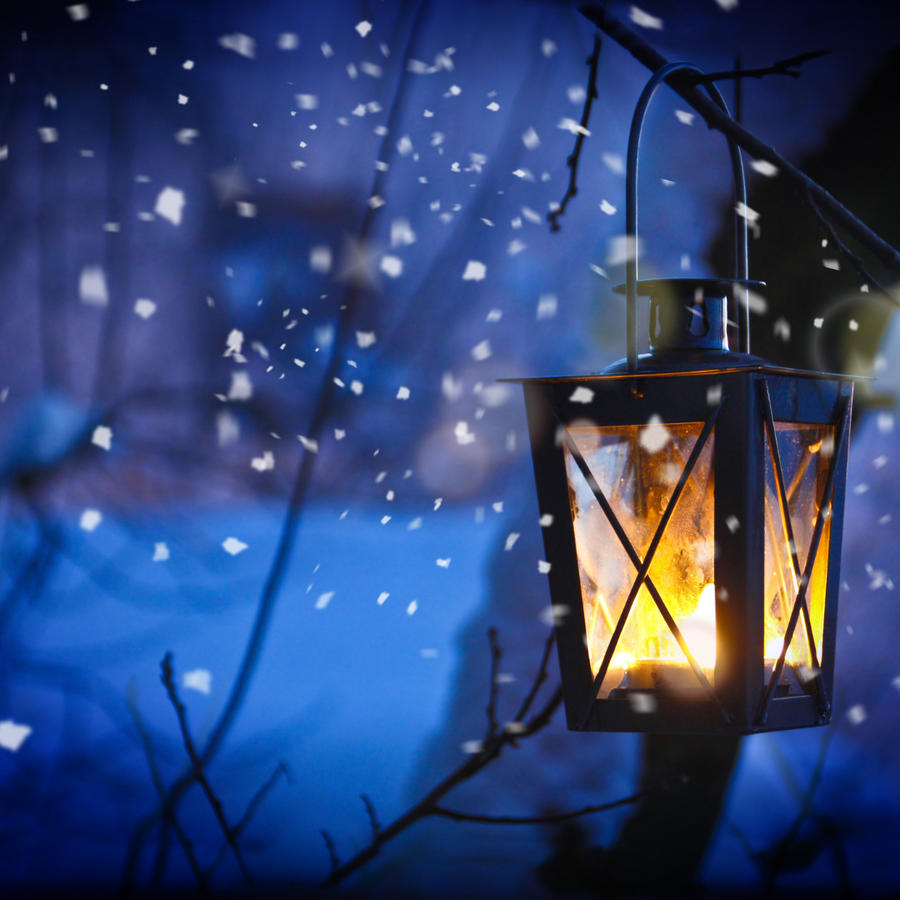 Syslerigets Adventskalender 2025