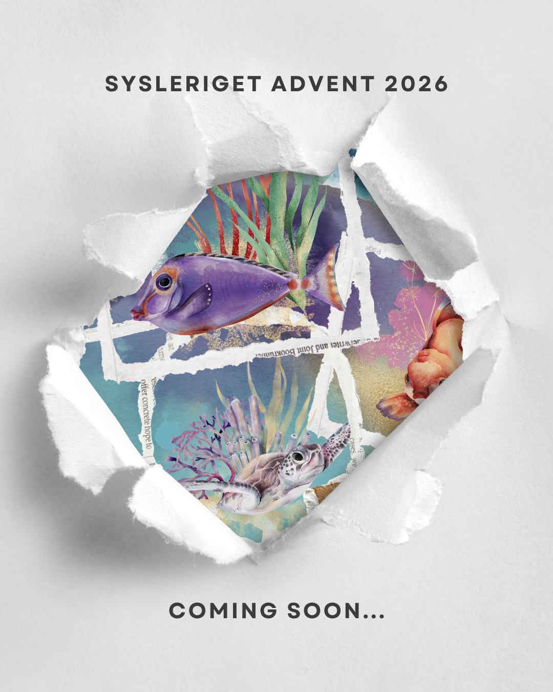 Adventcalendar 2026 | Underwater World